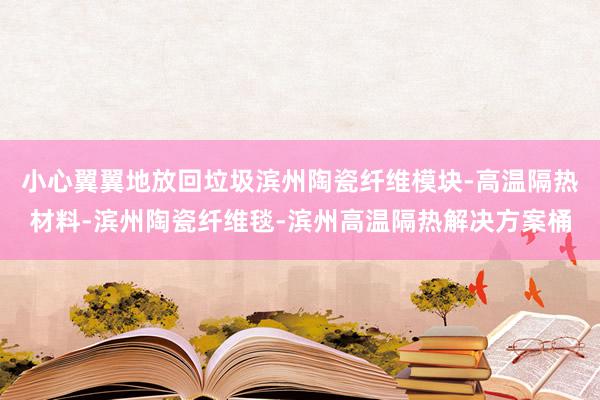 小心翼翼地放回垃圾滨州陶瓷纤维模块-高温隔热材料-滨州陶瓷纤维毯-滨州高温隔热解决方案桶